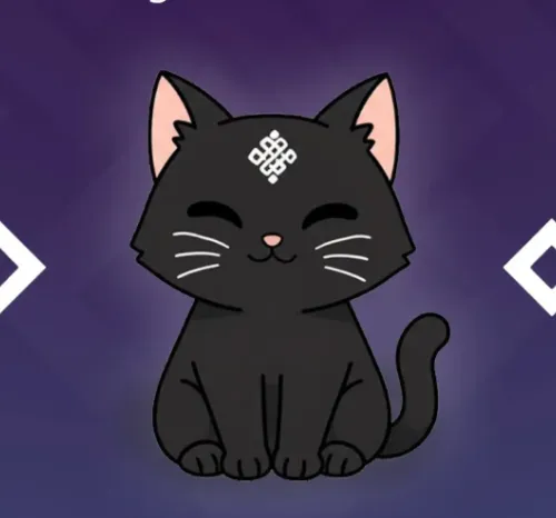 cattt