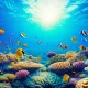 Ocean