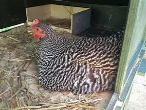 Structural design wonders