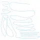 dfhdfhf