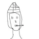 capy