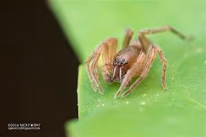 AI revolution unfolding