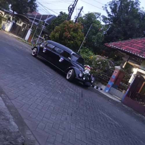 Kodok