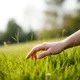 Touchgrass