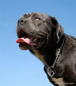 Desert oasis retreats