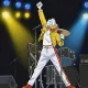 FreddieDuck