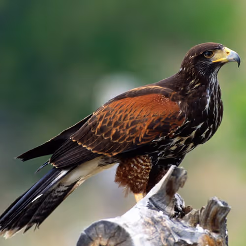 mnbbcvtrf bvbytii nbhghgu