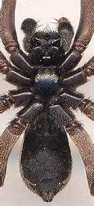 Capturing moments in time