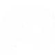 discis