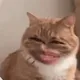 nznjREVm