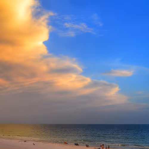 MemeCoin Masterpiece