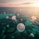 Ocean Odyssey