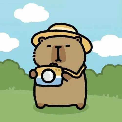 CAPYBARACHIBI