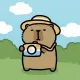CAPYBARACHIBI