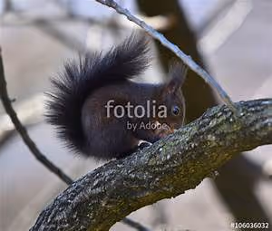 Treasure hunting escapades