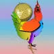 discoChickenSomnia