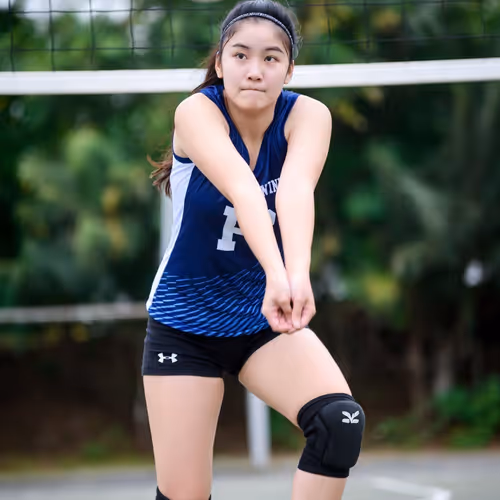 Volleyball Victory PFP