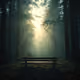 somenature