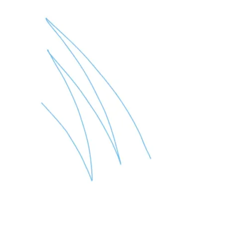vvs