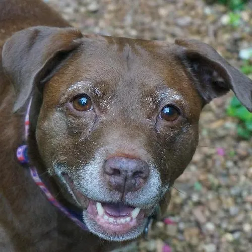 Backpacking through continents