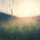 vudiep
