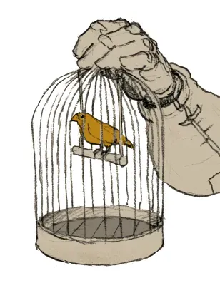 Bird
