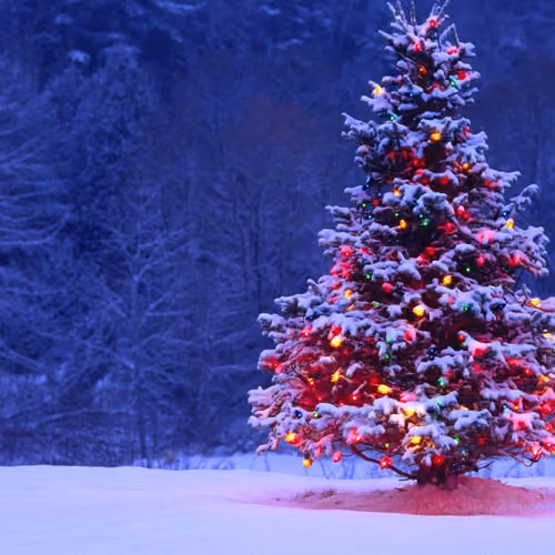 xmas