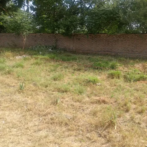land