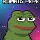 SOMNIA PEPE