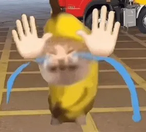 QqEXain