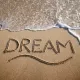 dream