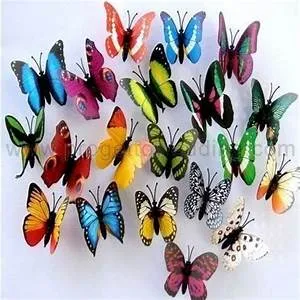 Nautical journeys abroad