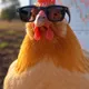 Somnia chicken from Somnia Exchange
