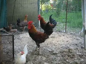 Clean energy innovations