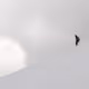 WeatherWiz