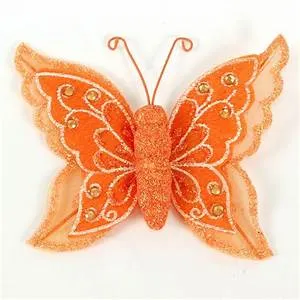 Championing equality for all