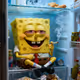 sponge