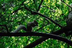 RV camping expeditions