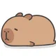 Capybara Tiring
