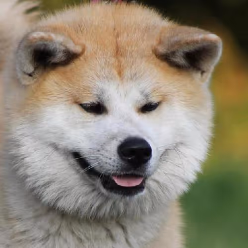 Epic fantasy journey