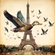 Paris and Duck