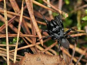 Emotional intelligence seminars