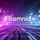 Somnia Way