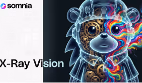 Somnia X-Ray Vision