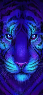 sosud