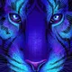 sosud