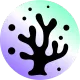 frankosomnia2223
