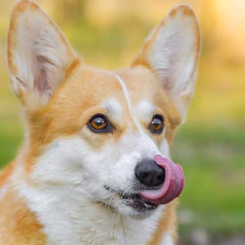 Time-traveling adventures