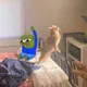 capy
