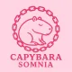somnia capink